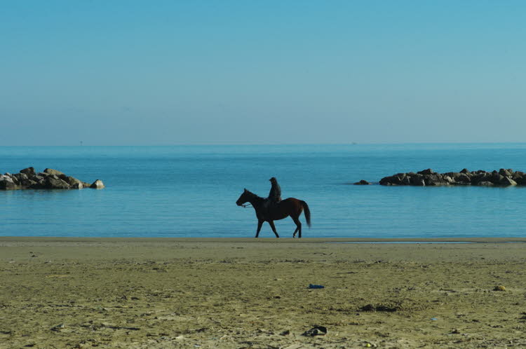 Riviera delle Palme